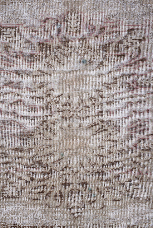 Antique Kaisary Area Rug (3' x 5')